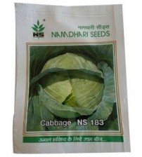 Cabbage / Patta Gobi NS 183 (Namdhari)